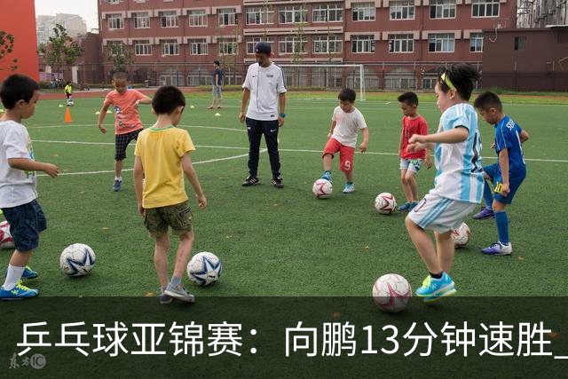 乒乓球亚锦赛：向鹏13分钟速胜 携手李天阳晋级男单64强