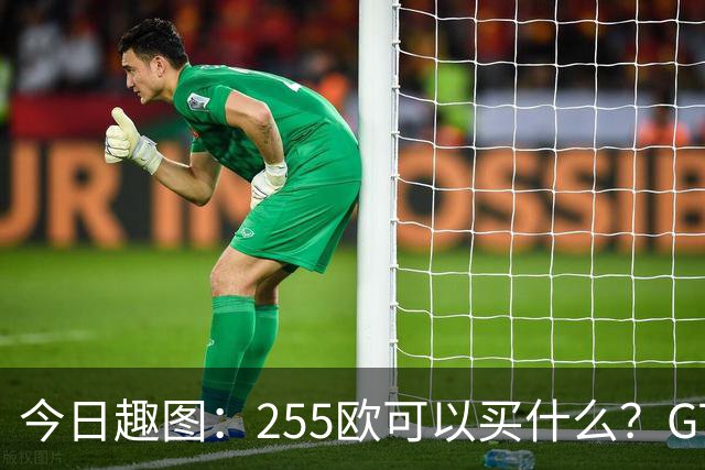 今日趣图：255欧可以买什么？GTA6，航母模型还是一箱养乐多？