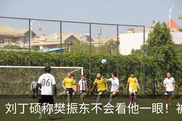 刘丁硕称樊振东不会看他一眼！被质疑以德报怨：2次公开落井下石