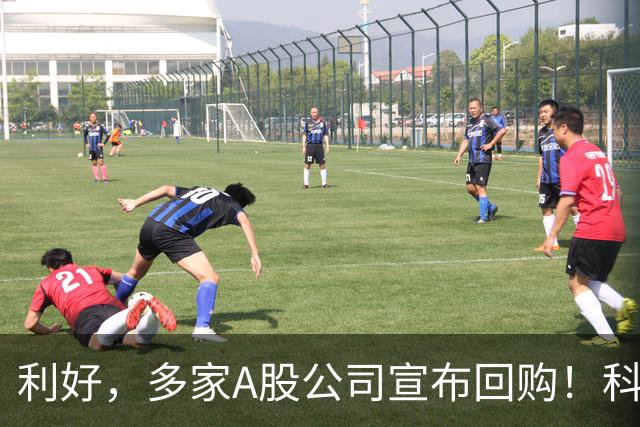 利好，多家A股公司宣布回购！科技龙头年内回购超600亿元