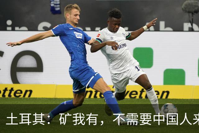 土耳其：矿我有，不需要中国人来，只要你教我怎么把石头变成钱！