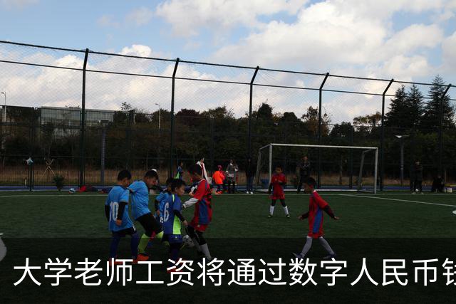 大学老师工资将通过数字人民币钱包发放，江苏多所高校收到通知