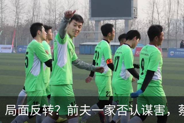 局面反转？前夫一家否认谋害，蔡天凤现任被曝猛料，网友：我的天