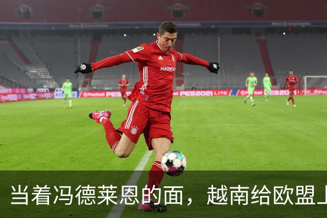 当着冯德莱恩的面，越南给欧盟上了一课：这就是“中国力量”