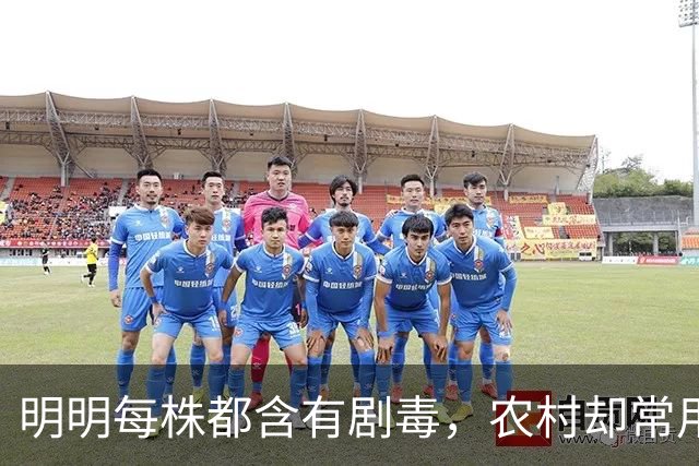 明明每株都含有剧毒，农村却常用来做腌菜，如今为何消失不见？