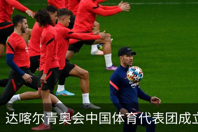 达喀尔青奥会中国体育代表团成立