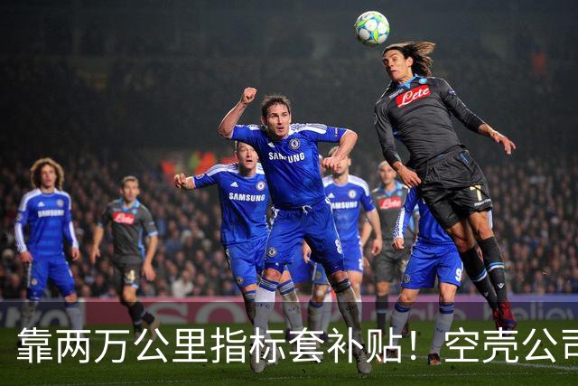 靠两万公里指标套补贴！空壳公司卷走三个亿，全甩给底层买单